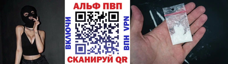A PVP СК  Колпашево 
