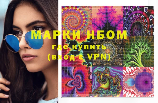 молекула духа Арсеньев