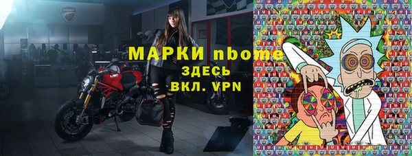 молекула духа Арсеньев