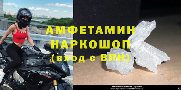 молекула духа Арсеньев
