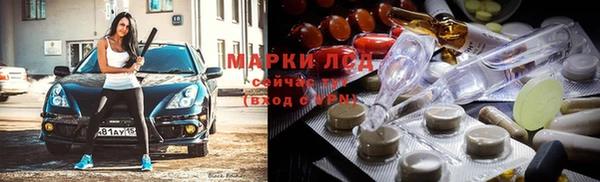 молекула духа Арсеньев